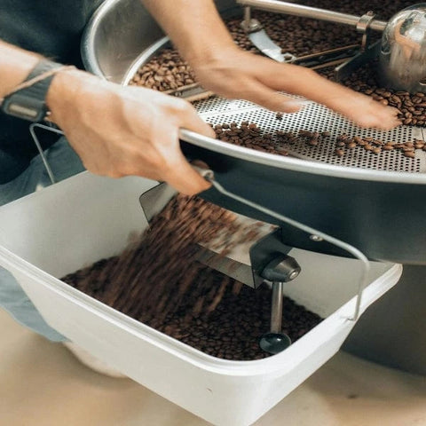 instant coffee production